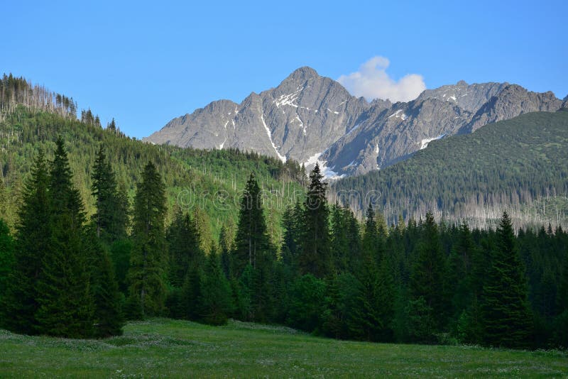 A landscape in the Belianske Tatry in Slovakia