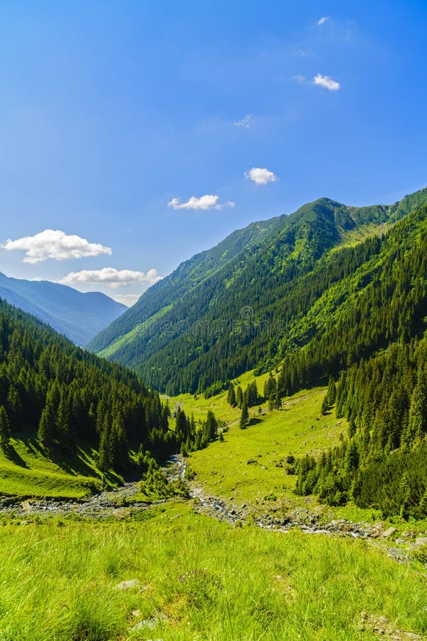 Beautiful landscape in Carpathian mountains