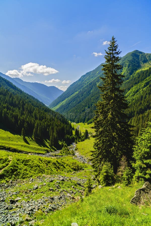 Beautiful landscape in Carpathian mountains