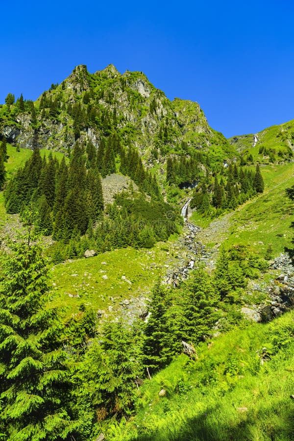 Beautiful landscape in Carpathian mountains