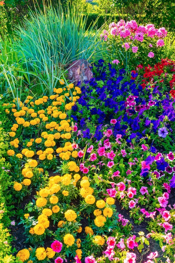 Beautiful Landscape Design in Public Garden in Summer Sunny Evening ...