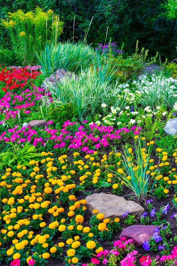 Beautiful Landscape Design in Public Garden in Summer Sunny Evening ...