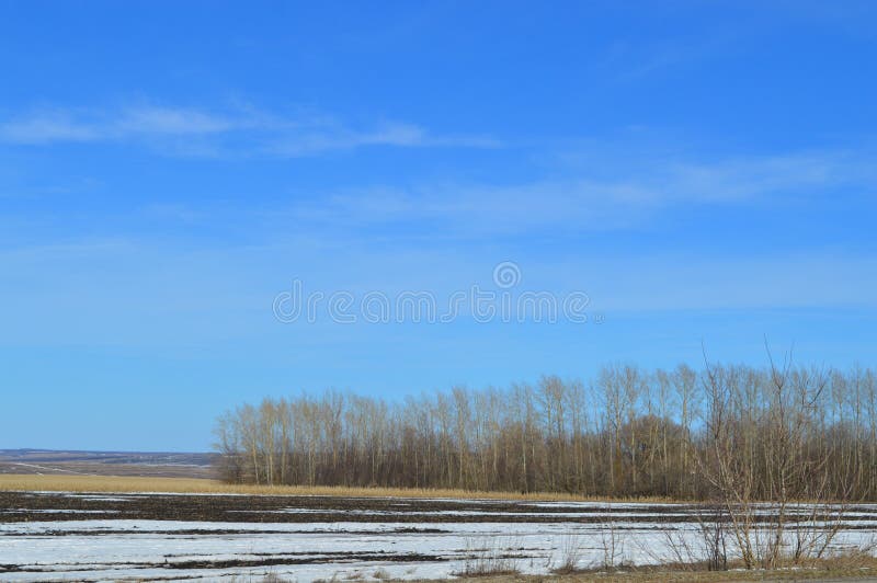 Beautiful landscape with field. Bare trees and a little snow royalty free stock images Beautiful landscape with field. Bare trees and a little snow royalty free stock images