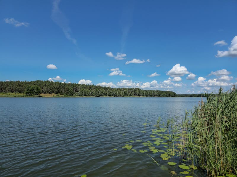 A beautiful landscape of forest lake