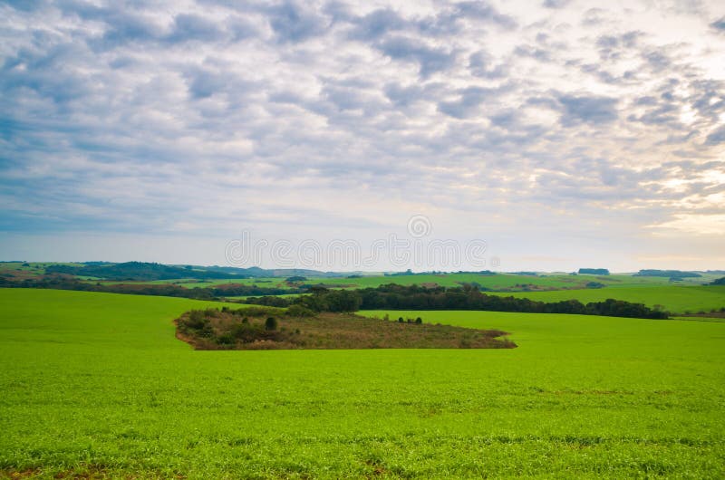 Beautiful landscape of green field and cloudy sky stock images