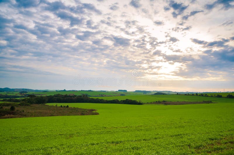 Beautiful landscape of green field and cloudy sky stock photo