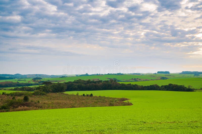Beautiful landscape of green field and cloudy sky stock photography