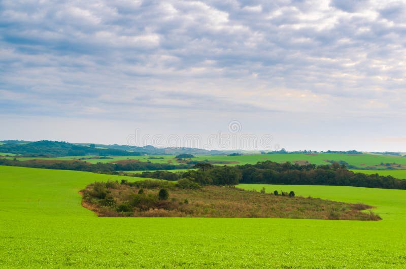 Beautiful landscape of green field and cloudy sky stock photo