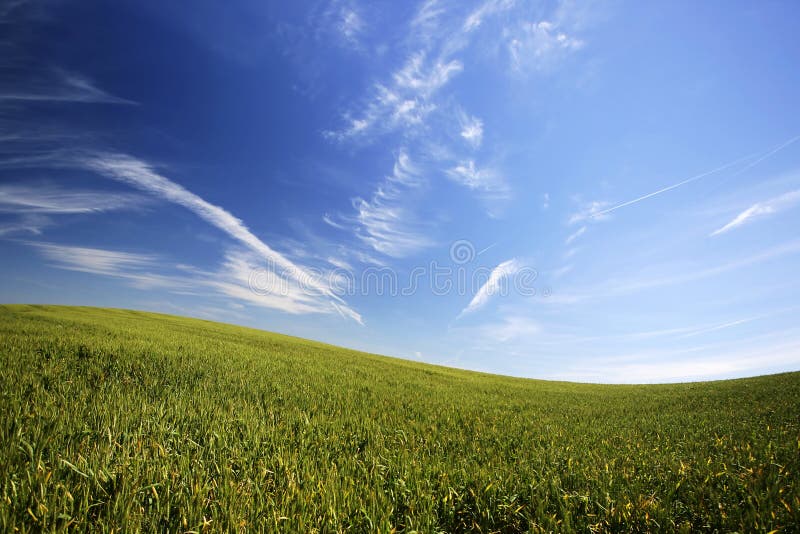 Beautiful landscape with green grass and blue sky