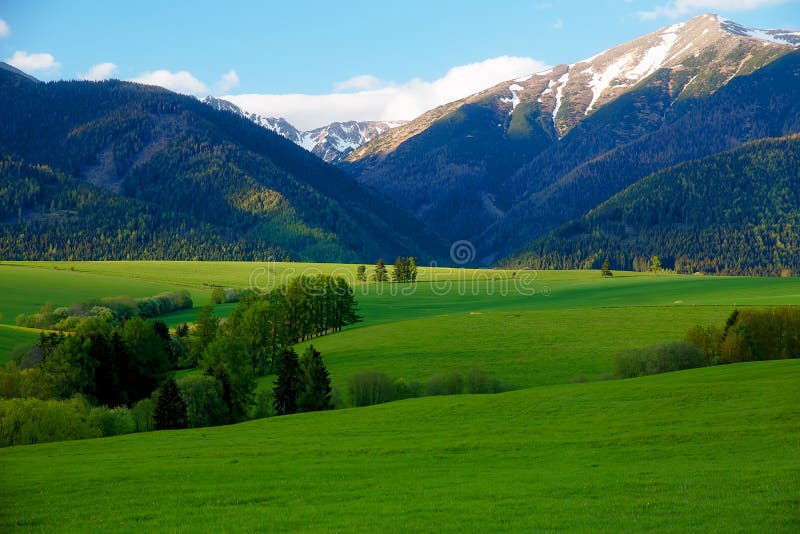 Krásná krajina, zelená louka s horou sněhu v pozadí. Slovensko, střední Evropa.