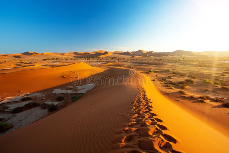 Beautiful landscape Hidden Vlei in Namibia Africa