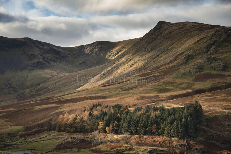 Beautiful Landscape Image Of Autumn Fall With Vibrant Pine And Larch