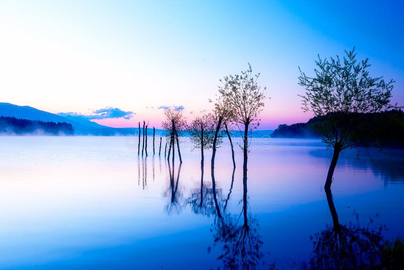 Krásná krajina s jezerem a horami v pozadí a stromy ve vodě. Modrý a fialový barevný tón
