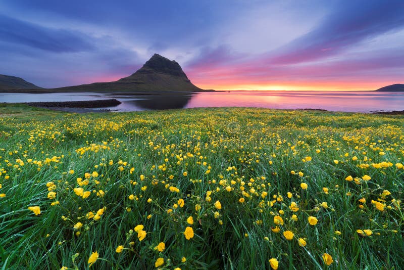 Beautiful landscape with mountain and ocean in Iceland