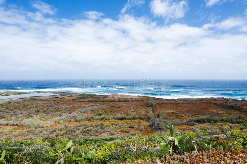 Beautiful landscape with ocean view. Punta Del Hidalgo, Tenerife North, Canary Islands, Spain.