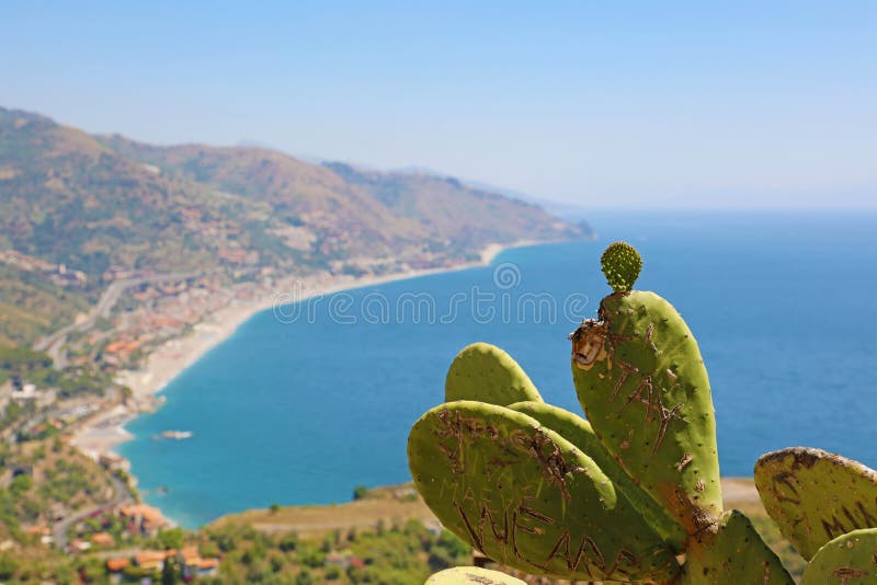 Beautiful landscape panorama of Sicily coastline with focus on the cactus. Blue Mediterranean sea and green mountians in Taormina royalty free stock photos Beautiful landscape panorama of Sicily coastline with focus on the cactus. Blue Mediterranean sea and green mountians in Taormina royalty free stock photos