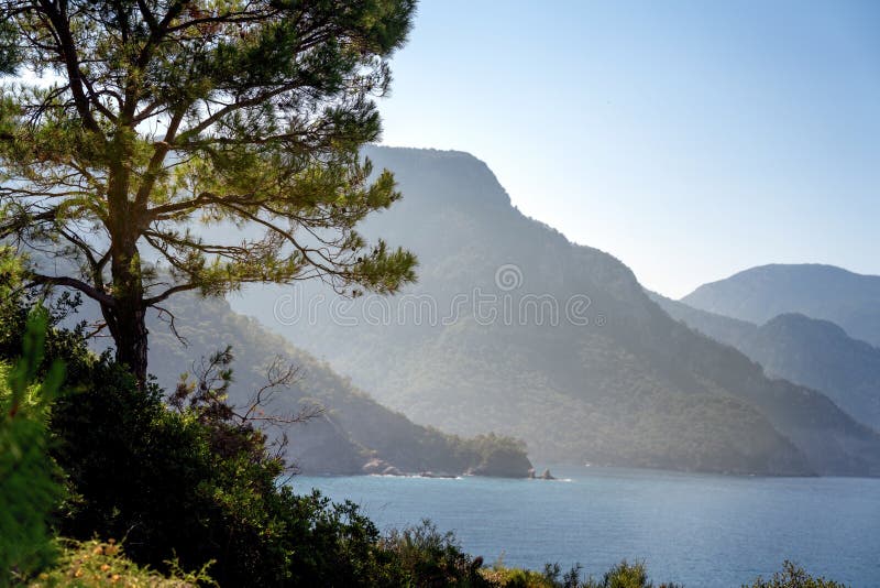 Beautiful Mediterranean Sea With Clear Turquoise Water And Pine Trees Stock  Photo - Image of greece, green: 223913666