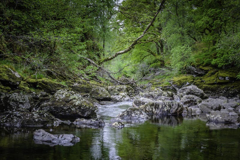 Mountain stream with rocks and fallen tree flowing trough forest in springtime.Beautiful landscape of Scotland.Beauty in nature.Tranquil scenery of Scottish wilderness, europe, united, kingdom, abstract, animals, boulder, branch, creek, element, environment, water, foliage, gorge, growth, highlands, landscapes, lush, majestic, moss, natural, world, no, people, places, plant, purity, reflection, scenics, season, stone, things, tourism, uk, view, weather, wonderful, woodland, woods. Mountain stream with rocks and fallen tree flowing trough forest in springtime.Beautiful landscape of Scotland.Beauty in nature.Tranquil scenery of Scottish wilderness, europe, united, kingdom, abstract, animals, boulder, branch, creek, element, environment, water, foliage, gorge, growth, highlands, landscapes, lush, majestic, moss, natural, world, no, people, places, plant, purity, reflection, scenics, season, stone, things, tourism, uk, view, weather, wonderful, woodland, woods