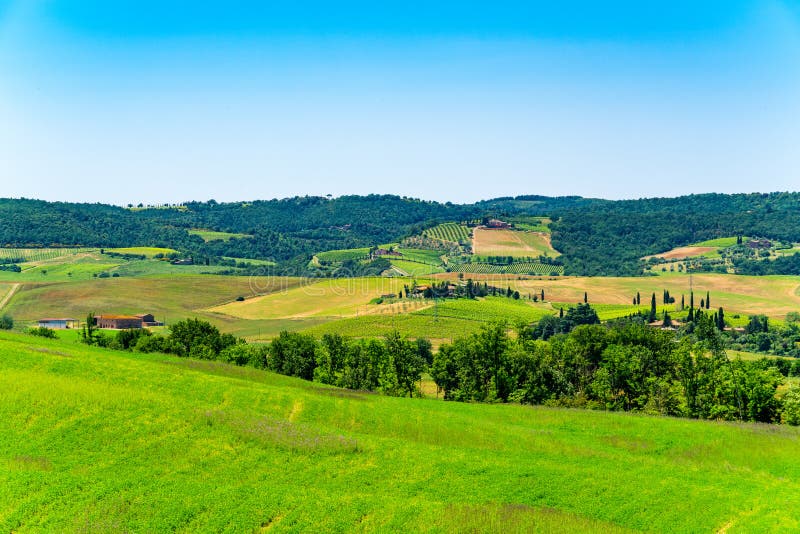 Beautiful Landscape of Summer in Hilly Tuscany, Italy Stock Image ...