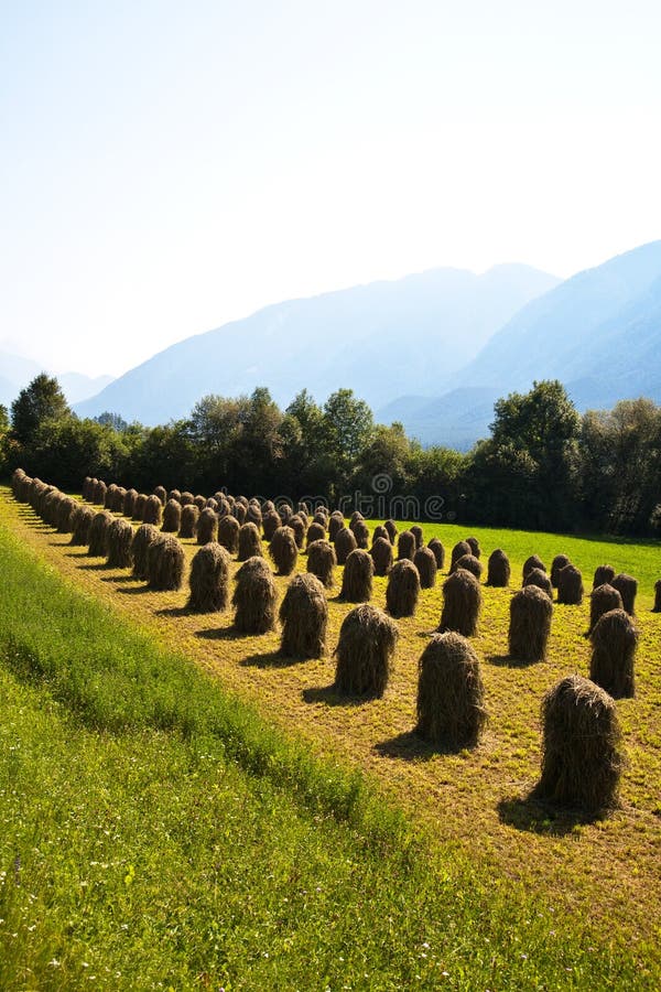 Beautiful landscape in the tirolean Alps