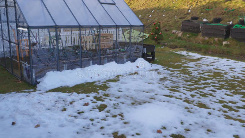 Beautiful landscape view of back yard on warm winter day. Green house on backyard on green landscape background