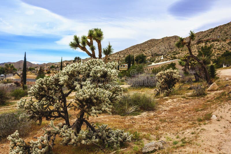 Beautiful landscape view of Southern California town of Yucca Valley, San Bernardino County, California, United States.