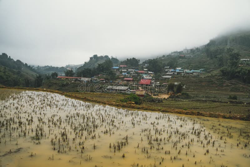 Beautiful landscape views of rice terraces during the winter off season with muddy water stock image Beautiful landscape views of rice terraces during the winter off season with muddy water stock image