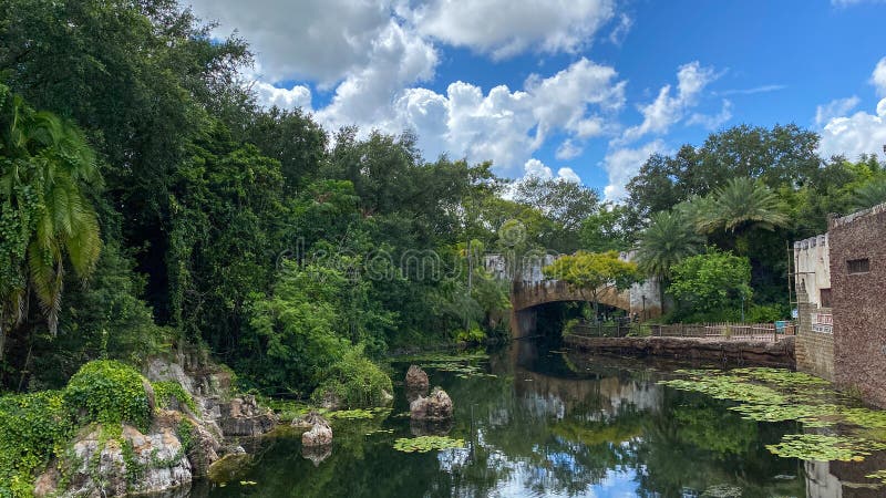The Beautiful Lanscaping at Animal Kingdom at Walt Disney World in