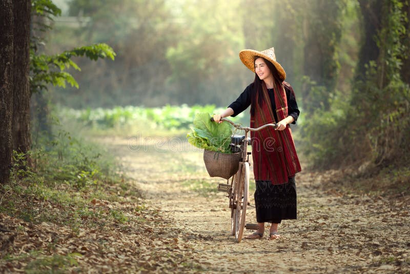 Beautiful Lao woman riding bicycles. Lao traditional beautiful woman walking in the tobacco garden. Beautiful Lao woman riding bicycles. Lao traditional beautiful woman walking in the tobacco garden.