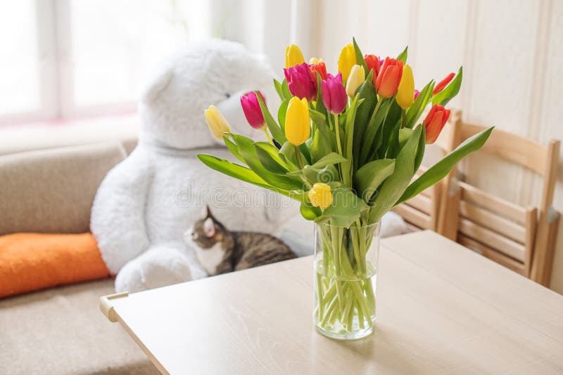 Beautiful large multi-colored tulips yellow orange and red in a glass vase on a table against the background of a window and a