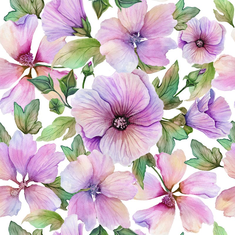 Beautiful lavatera flowers and leaves with veins against white background. Seamless floral pattern. Watercolor painting. vector illustration Beautiful lavatera flowers and leaves with veins against white background. Seamless floral pattern. Watercolor painting. vector illustration