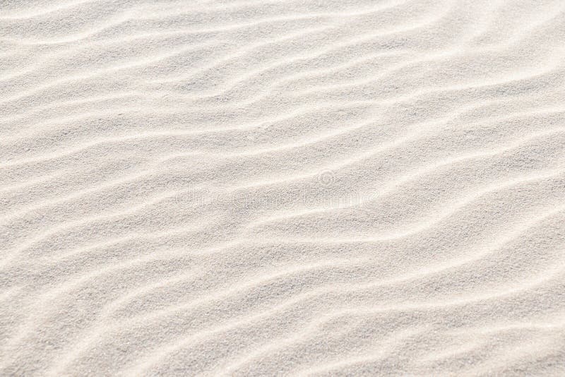 Beautiful Light Sand Texture Wave Texture On The Sand Sandy Beach For