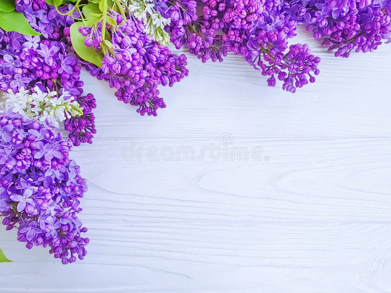 Beautiful lilac flower blossom summer romantic bouquet summercard season on white wooden background frame