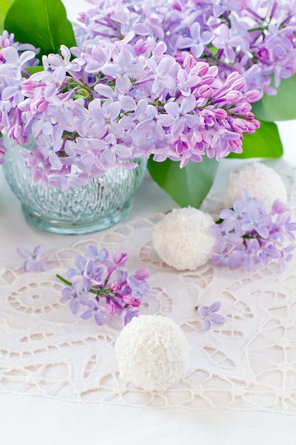 Beautiful lilac flowers stock image. Image of leaf, beauty 26917515