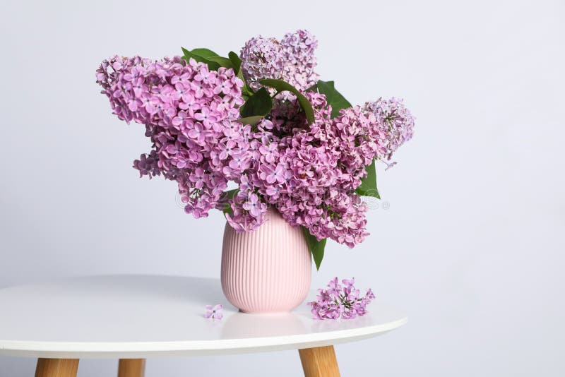 Beautiful Lilac Flowers in Vase on White Table Stock Image Image of