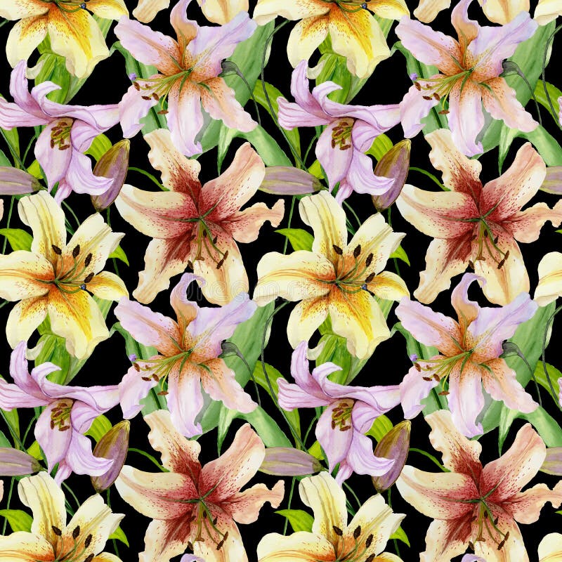 Beautiful lily flowers with green leaves on black background. Seamless floral pattern. Watercolor painting. vector illustration Beautiful lily flowers with green leaves on black background. Seamless floral pattern. Watercolor painting. vector illustration