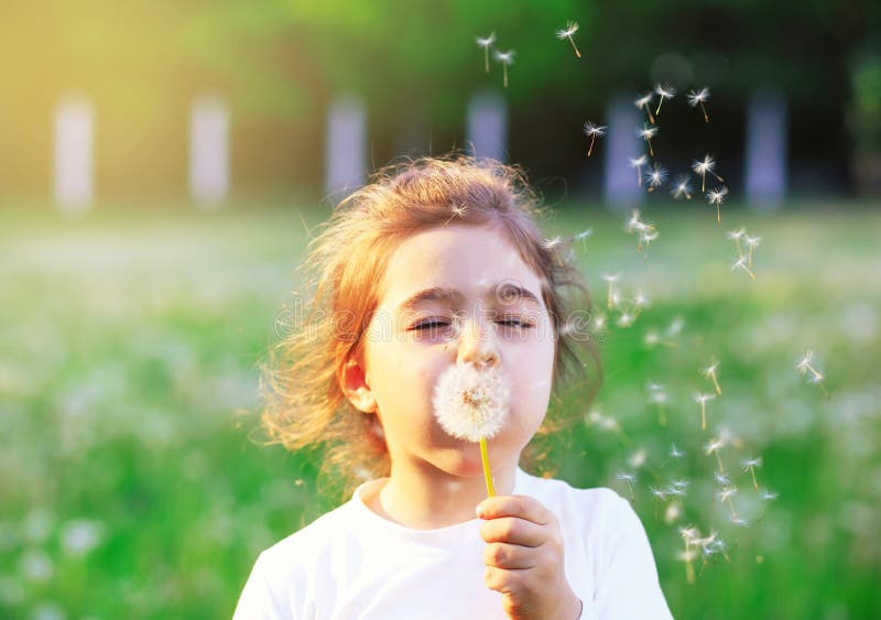 Beautiful little Girl blowing dandelion flower in sunny summer p