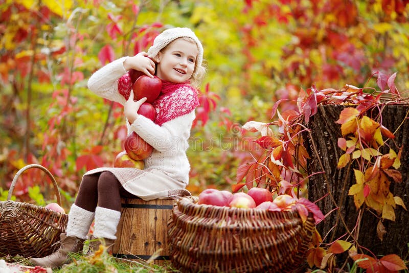 Beautiful little girl holding apples in the autumn garden. . Little girl playing in apple tree orchard. Toddler eating fruits at royalty free stock images Beautiful little girl holding apples in the autumn garden. . Little girl playing in apple tree orchard. Toddler eating fruits at royalty free stock images