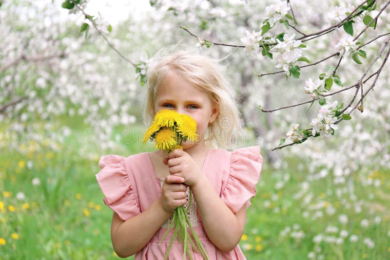 Beautiful Little Girl Smelling Flowers Outside in Under the Apple Trees royalty free stock images Beautiful Little Girl Smelling Flowers Outside in Under the Apple Trees royalty free stock images