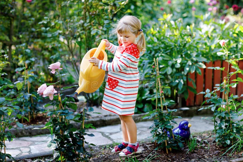 Beautiful little toddler girl in red colorful dress watering blossoming roses flowers with kids water can. Happy child