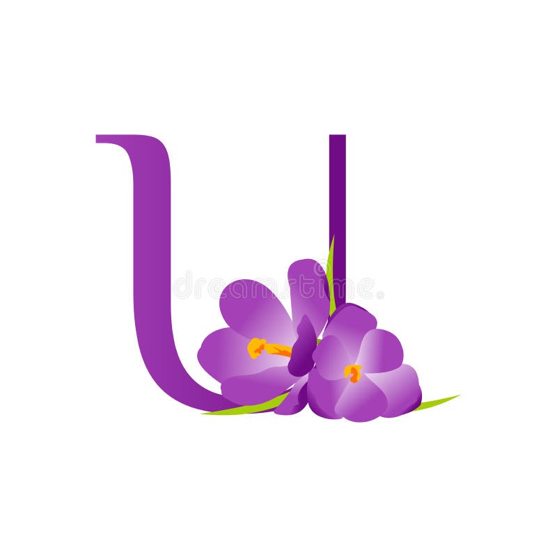 Charming Logo Design Initial U Flower Stock Vector Illustration of cover, beautiful 168184545