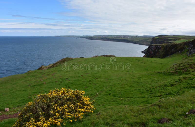 A Look Along the Coast and Shoreline of St Bees