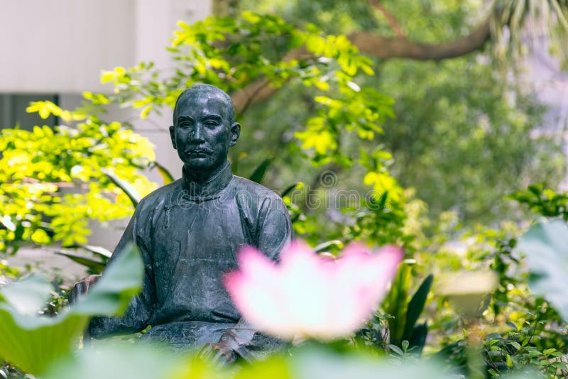 Beautiful Lotus flower blooms and sway in the breeze in Lily Pond or lake in summer, Hong Kong University