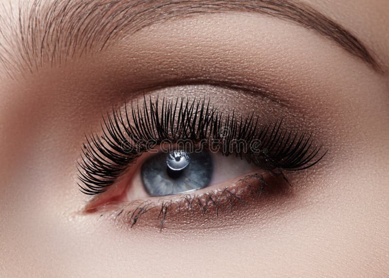 Beautiful macro shot of female eye with smoky makeup. Perfect shape of eyebrows