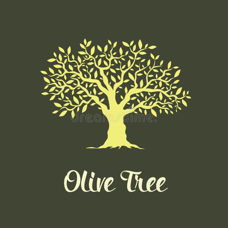 Beautiful magnificent olive tree stock illustration Beautiful magnificent olive tree stock illustration