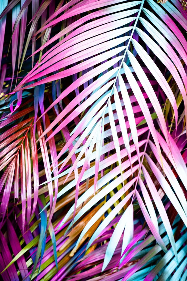 Beautiful palm leaves stock photo. Image of color, canada - 140084328