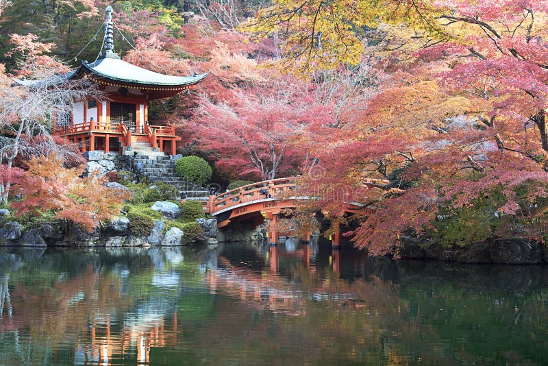 Beautiful maple season in Japan royalty free stock photo Beautiful maple season in Japan royalty free stock photo