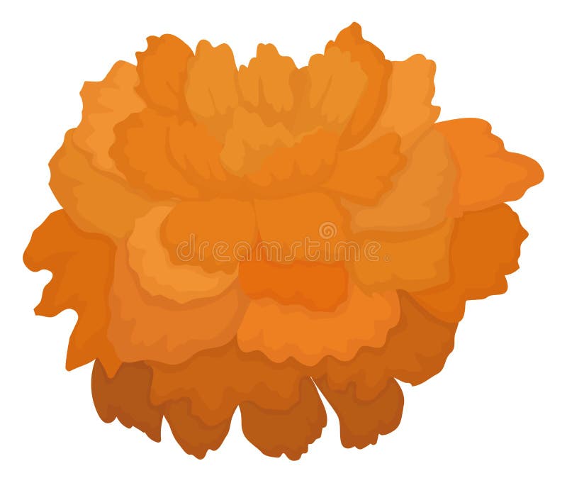 Beautiful Marigold Flower or Cempasuchil Flower in Mexican Tradition, Vector  Illustration Stock Vector - Illustration of design, dead: 233291537