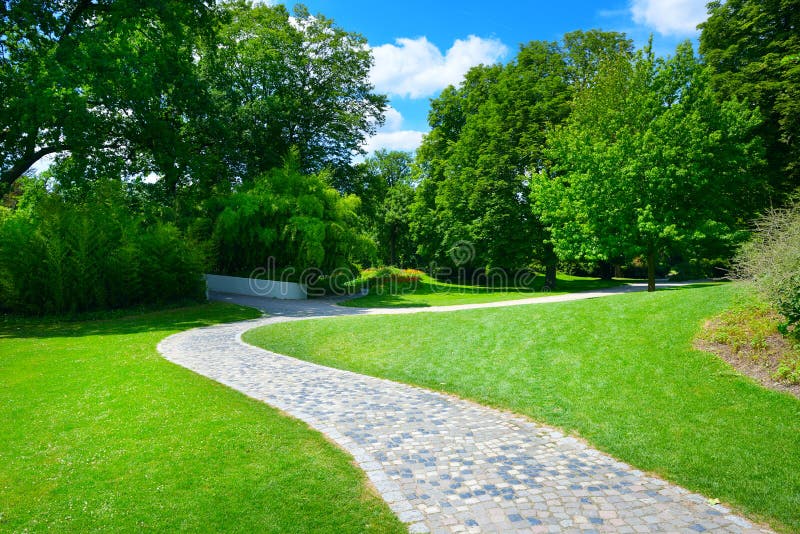 Beautiful meadow with footpath