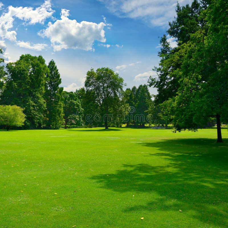 Beautiful Meadow with Green Grass in Public Park Stock Image - Image of ...